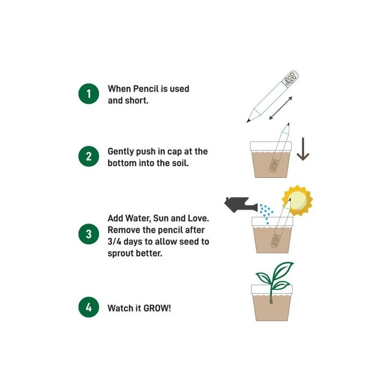 Plant A Pencil Kit